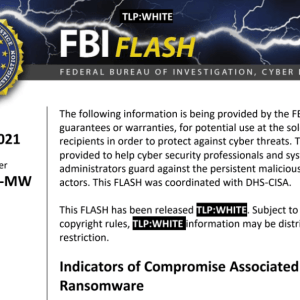 the-fbi-issued-a-flash-alert-for-hive-ransomware-operations