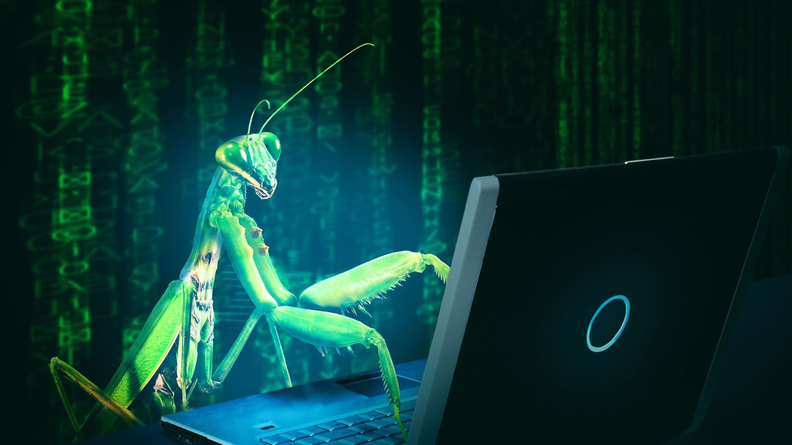 cisa-warns-of-critical-code-execution-bug-impacting-thousands-of-discourse-deployments