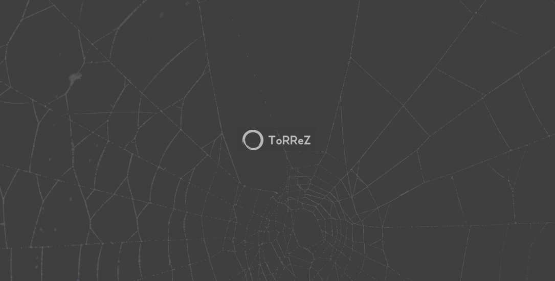 dark-web-marketplace-torrez-shuts-down