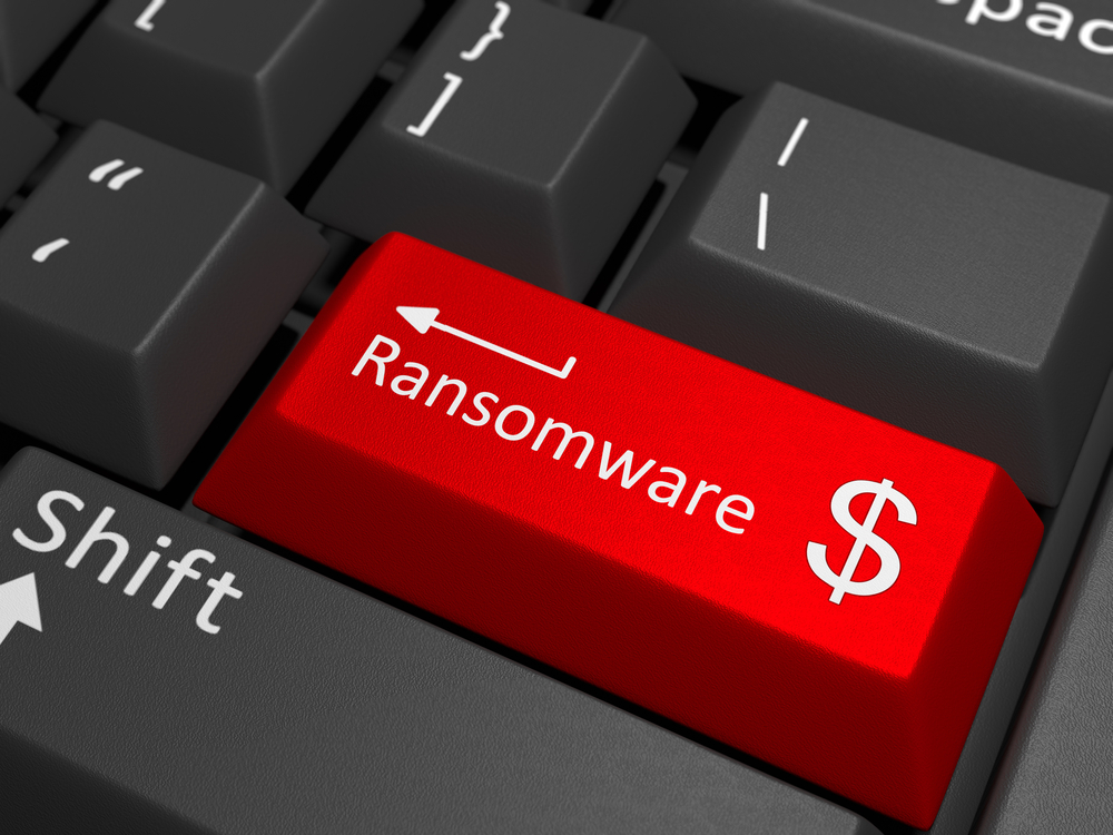 bumblebee-buzzes-to-forefront-of-ransomware-ecosystem