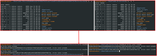 hunting-cyber-evil-ratels:-from-the-targeted-attacks-to-the-widespread-usage-of-brute-ratel