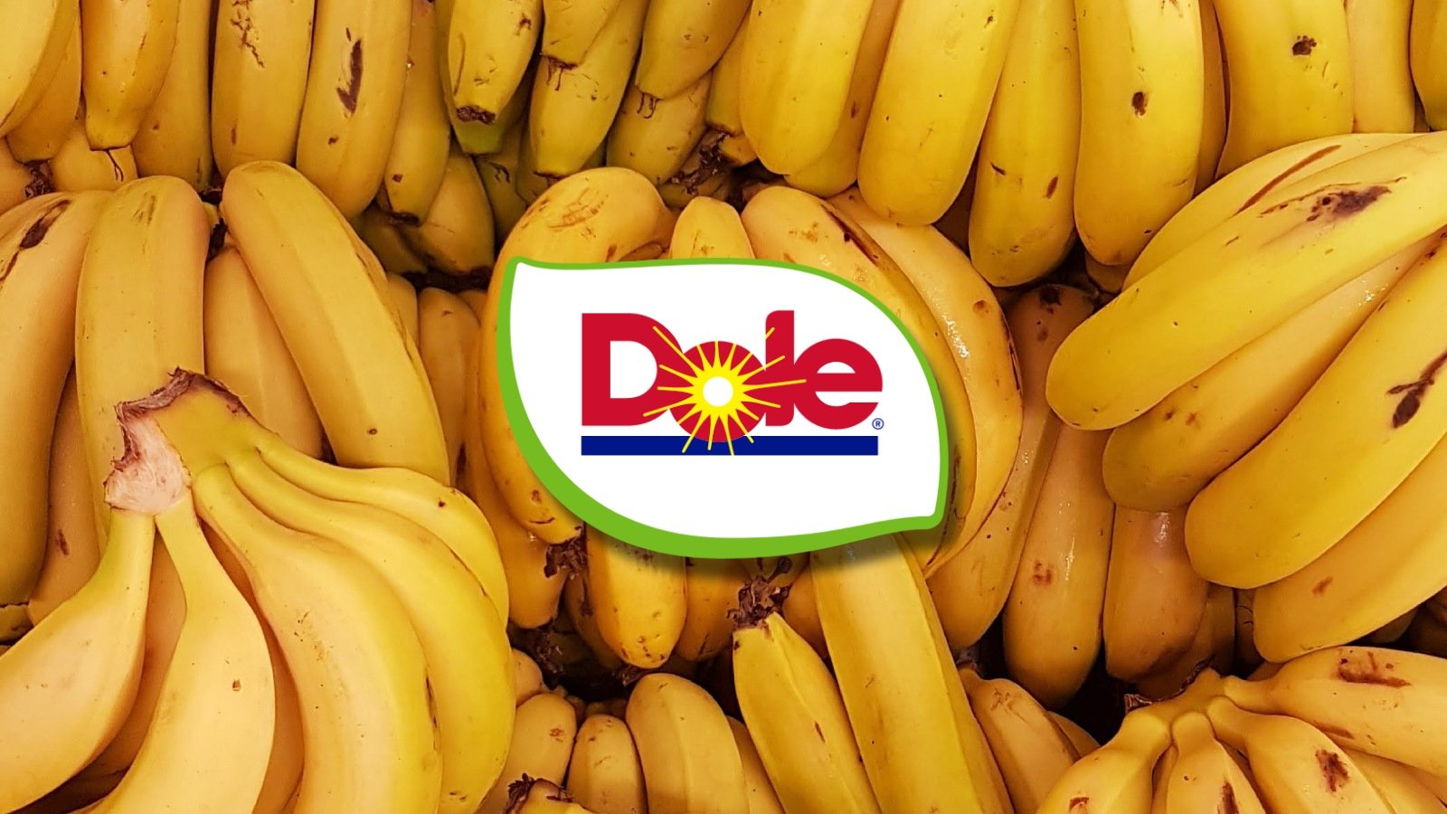 update:-dole-discloses-employee-data-breach-after-ransomware-attack