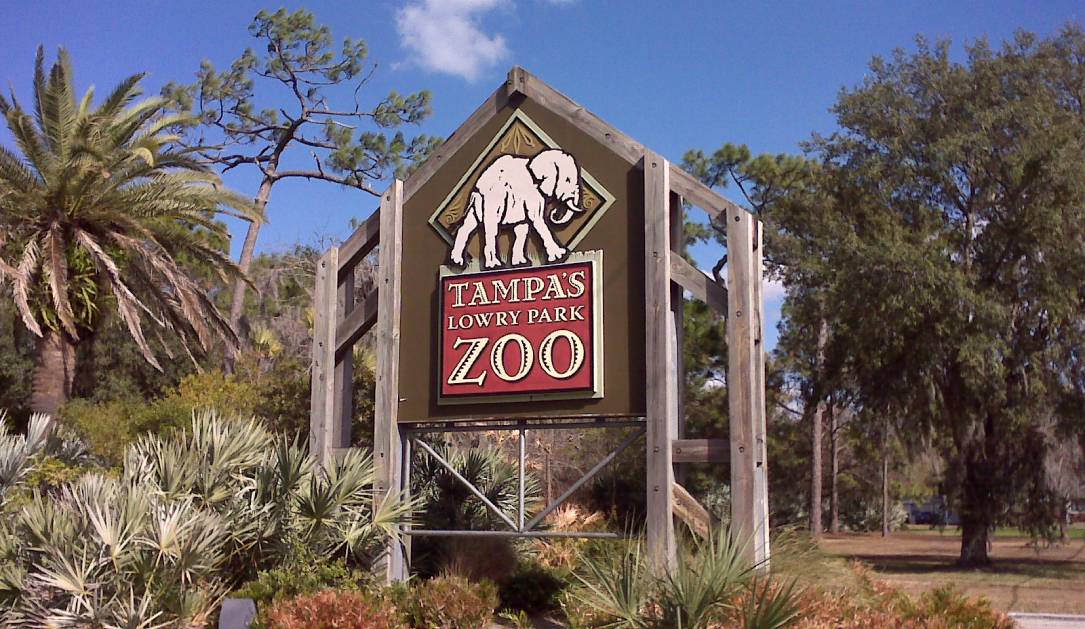 tampa-bay-zoo-targeted-in-cyberattack-by-apparent-offshoot-of-royal-ransomware