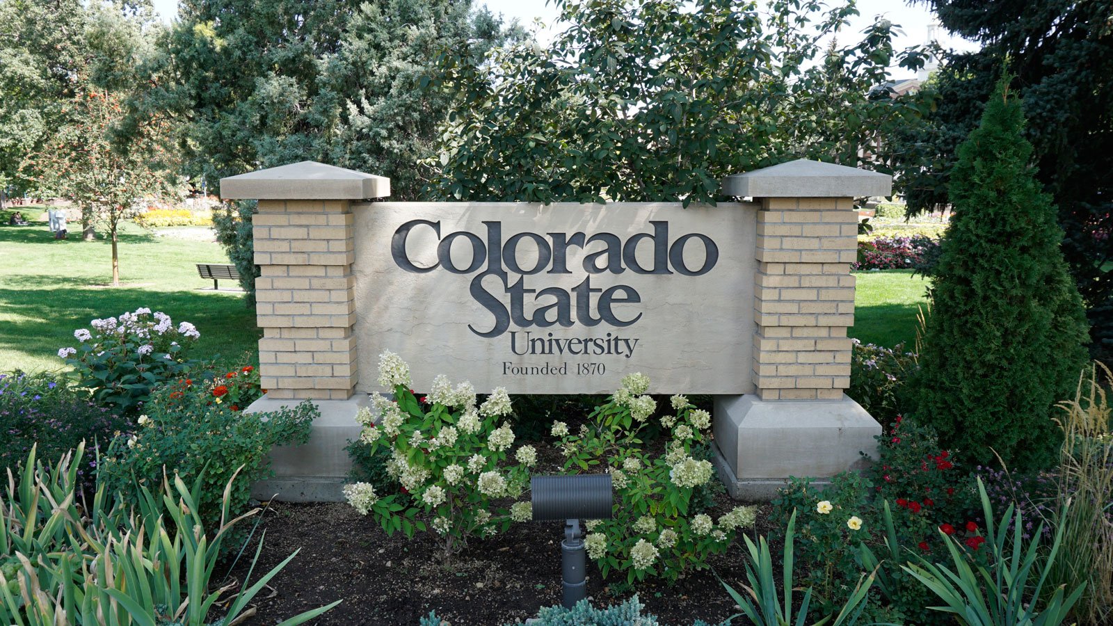 colorado-state-university-says-data-breach-impacts-students,-staff