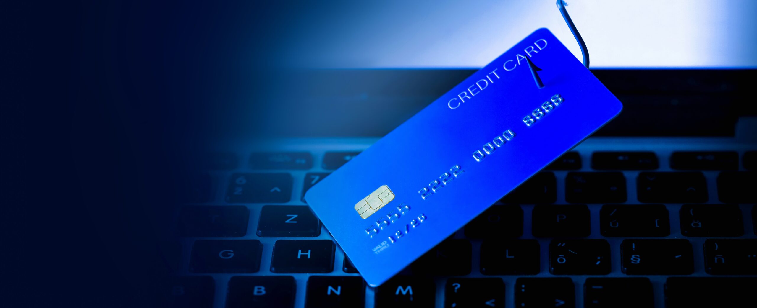 payment-card-skimming-campaign-now-targeting-websites-in-north-america