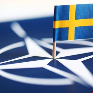 hackers-target-new-nato-member-sweden-with-surge-of-ddos-attacks